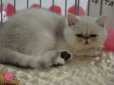 20120812_88 (Expo)